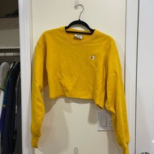 Champion cropped crew neck